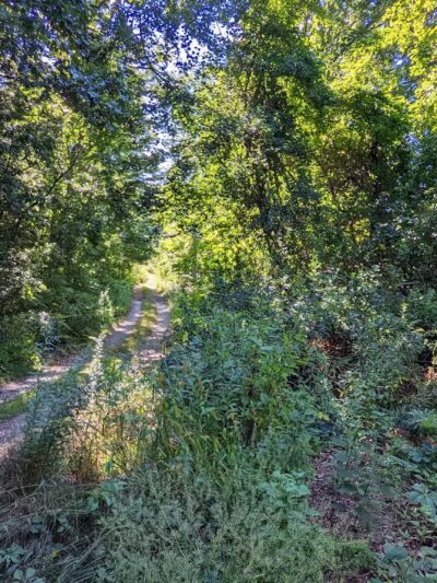 Lake Street Park - Shrewsbury, MA