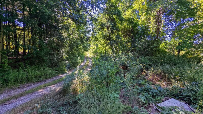 Lake Street Park - Shrewsbury, MA