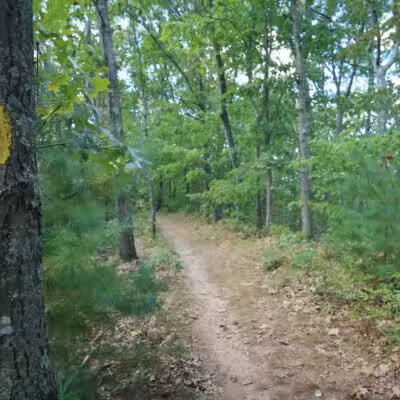 Lake Street Park - Shrewsbury, MA