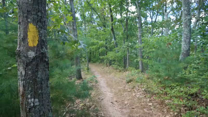 Lake Street Park - Shrewsbury, MA