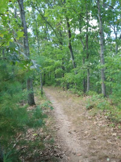 Lake Street Park - Shrewsbury, MA