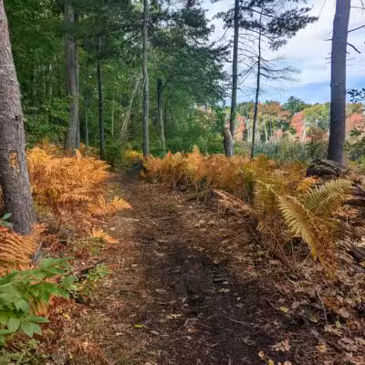 Lake Street Park - Shrewsbury, MA