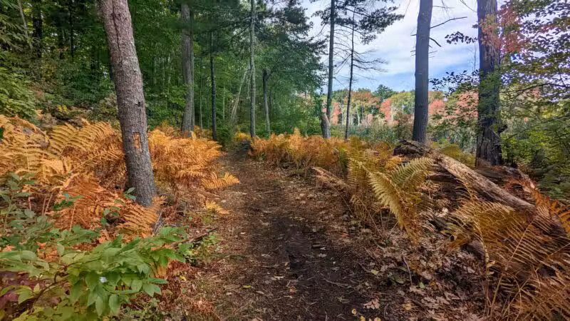 Lake Street Park - Shrewsbury, MA