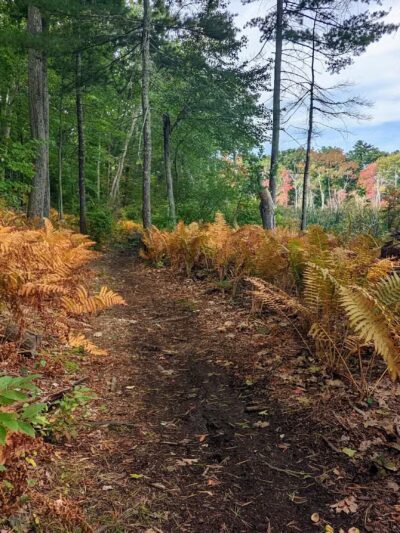 Lake Street Park - Shrewsbury, MA