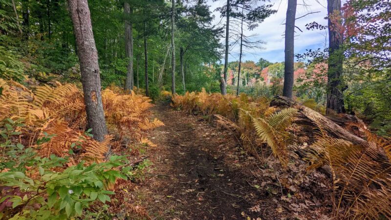 Lake Street Park - Shrewsbury, MA