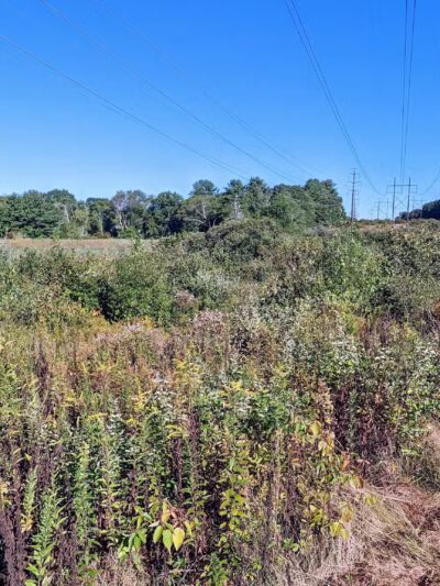Lake Street Park - Shrewsbury, MA
