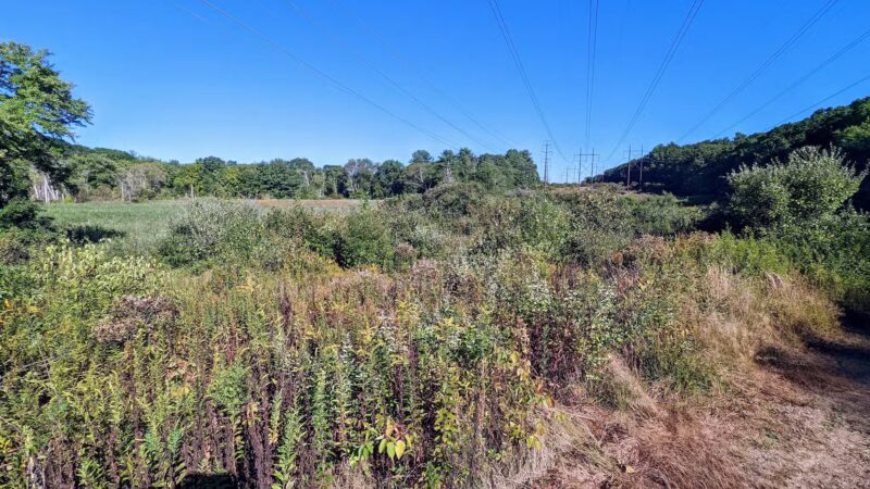 Lake Street Park - Shrewsbury, MA