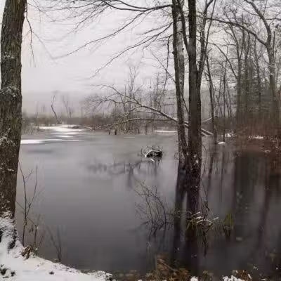 Lake Street Park - Shrewsbury, MA