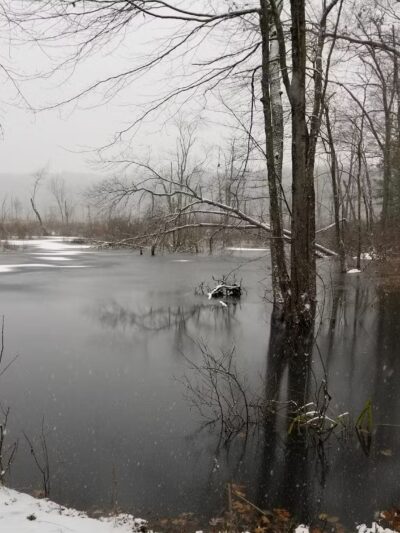 Lake Street Park - Shrewsbury, MA