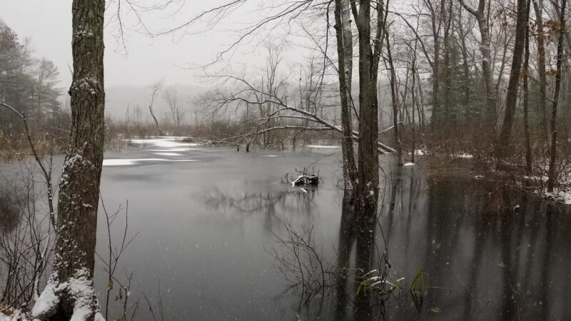 Lake Street Park - Shrewsbury, MA