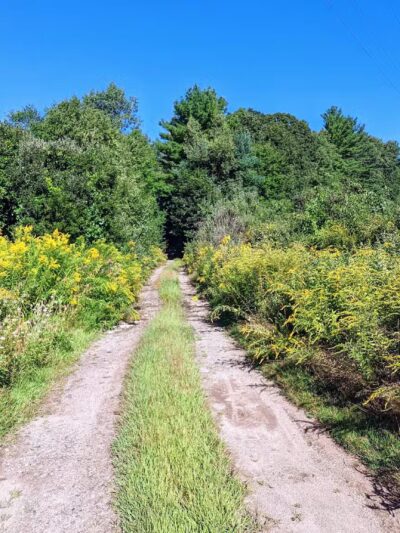 Lake Street Park - Shrewsbury, MA