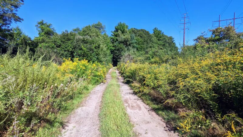 Lake Street Park - Shrewsbury, MA