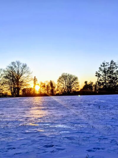 Maple Ave Recreation Area - Shrewsbury, MA