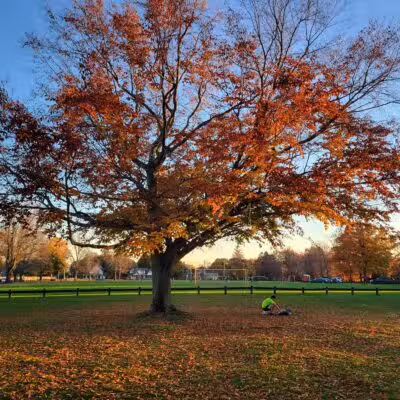 Maple Ave Recreation Area - Shrewsbury, MA