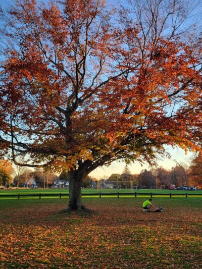 Maple Ave Recreation Area - Shrewsbury, MA