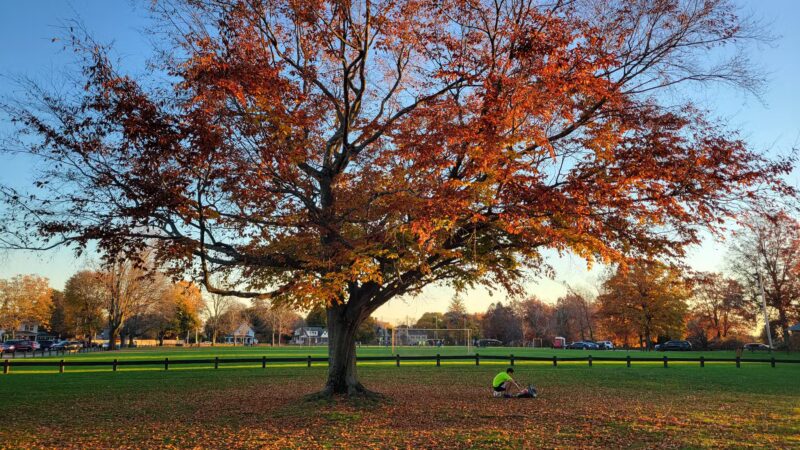 Maple Ave Recreation Area - Shrewsbury, MA