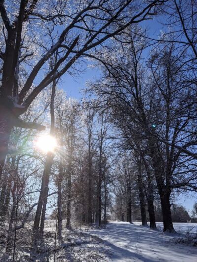 Maple Ave Recreation Area - Shrewsbury, MA