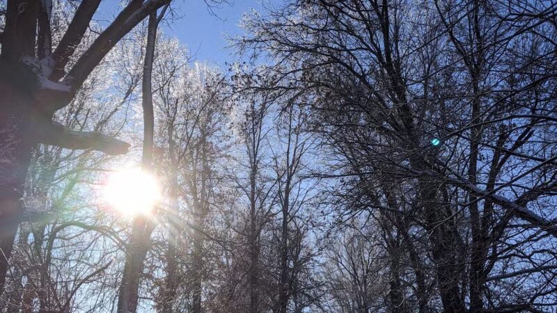 Maple Ave Recreation Area - Shrewsbury, MA