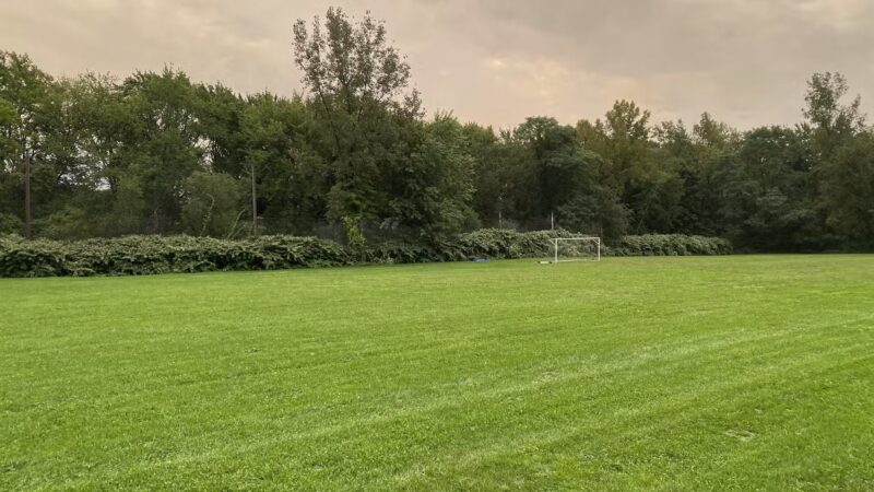 Municipal field - Shrewsbury, MA