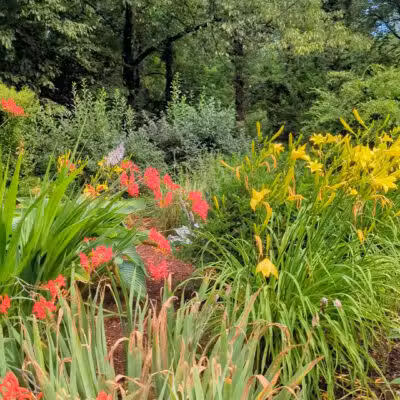 Prospect Park - Shrewsbury, MA