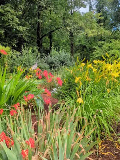 Prospect Park - Shrewsbury, MA