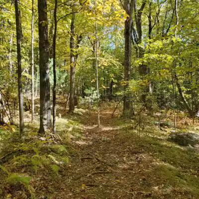 Prospect Park - Shrewsbury, MA