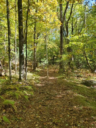 Prospect Park - Shrewsbury, MA