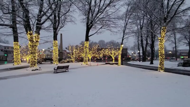 Shrewsbury Common - Shrewsbury, MA
