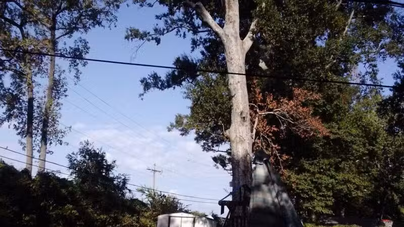 Quillings Park - Sidney, MT