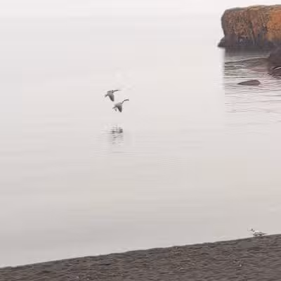 Black Beach - Silver Bay, MN