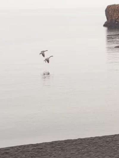 Black Beach - Silver Bay, MN
