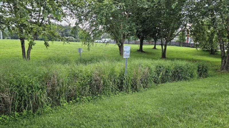 Broadacres Local Park - Silver Spring, MD