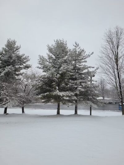 Broadacres Local Park - Silver Spring, MD