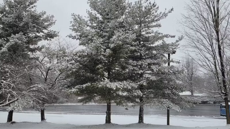 Broadacres Local Park - Silver Spring, MD