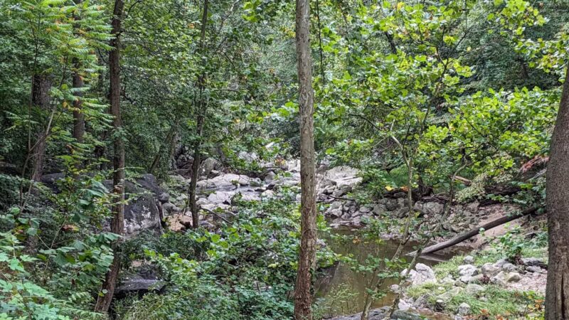 Burnt Mills East Special Park - Silver Spring, MD