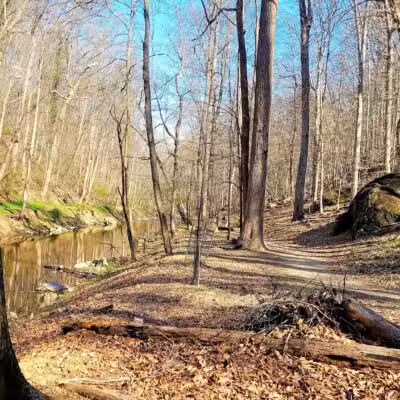 Burnt Mills East Special Park - Silver Spring, MD