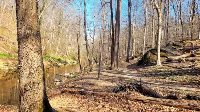 Burnt Mills East Special Park - Silver Spring, MD
