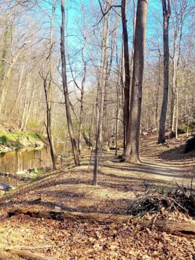 Burnt Mills East Special Park - Silver Spring, MD