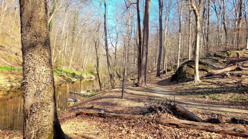 Burnt Mills East Special Park - Silver Spring, MD