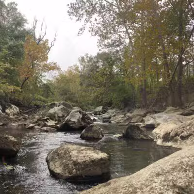 Burnt Mills East Special Park - Silver Spring, MD
