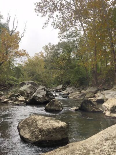 Burnt Mills East Special Park - Silver Spring, MD