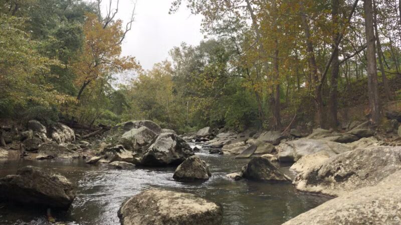 Burnt Mills East Special Park - Silver Spring, MD