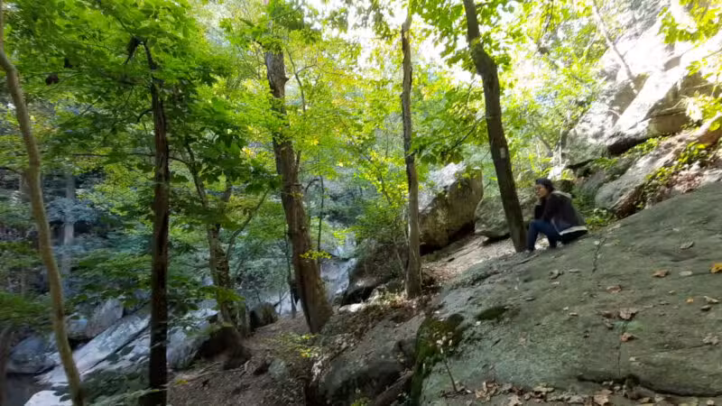 Burnt Mills East Special Park - Silver Spring, MD