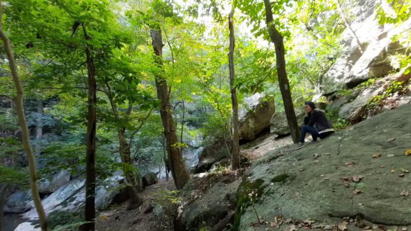 Burnt Mills East Special Park - Silver Spring, MD