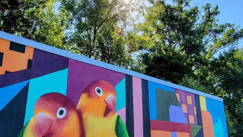Dewey Park Playground - Silver Spring, MD