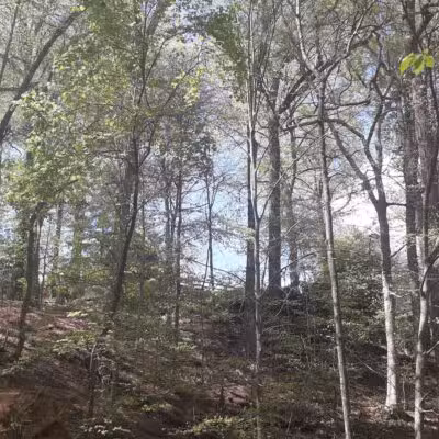 Houston-Sligo Creek Park - Silver Spring, MD
