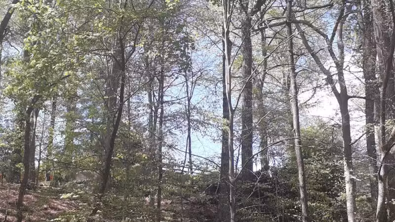 Houston-Sligo Creek Park - Silver Spring, MD