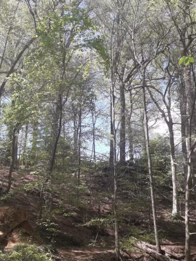 Houston-Sligo Creek Park - Silver Spring, MD