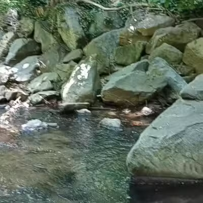 Houston-Sligo Creek Park - Silver Spring, MD