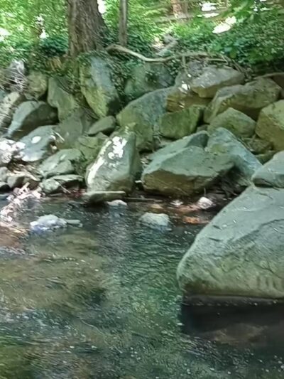 Houston-Sligo Creek Park - Silver Spring, MD